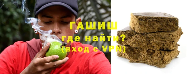 шишки Ельня