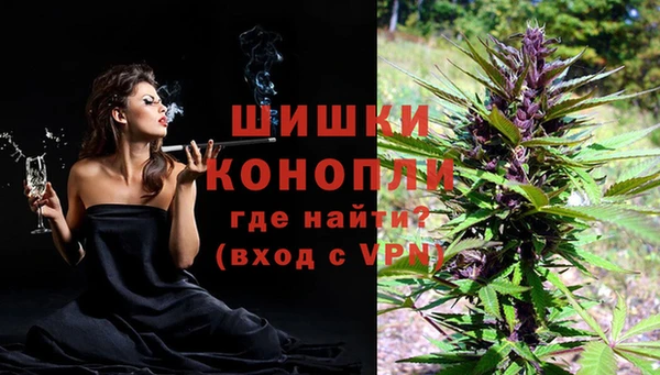 тгк Бородино
