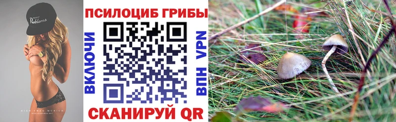 купить Бугуруслан Псилоцибиновые грибы мухоморы