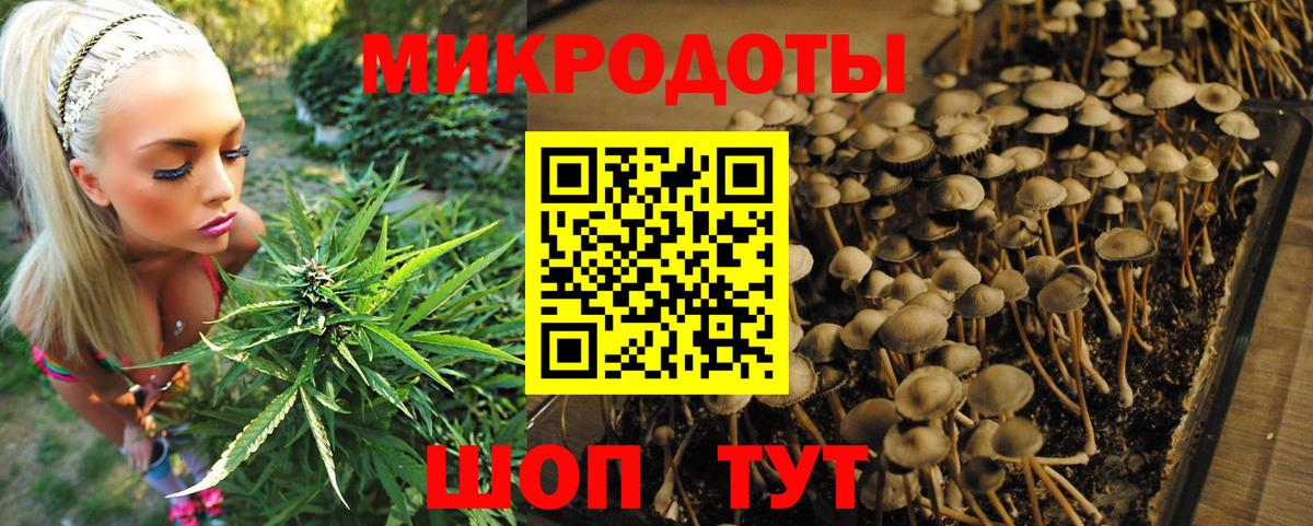 Галлюциногенные грибы Psilocybine cubensis  Псилоцибиновые грибы мухоморы  Бугуруслан  Вход с VPN 