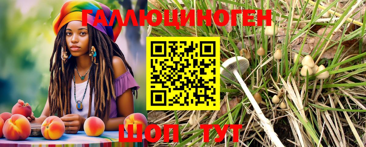 Галлюциногенные грибы Magic Shrooms Бугуруслан