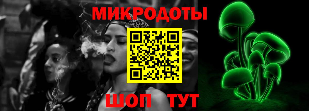 Псилоцибиновые грибы Psilocybe Бугуруслан